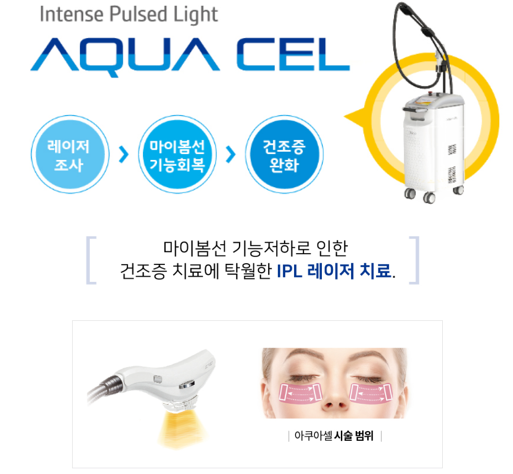 의사
