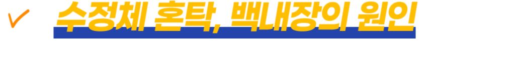 수정체