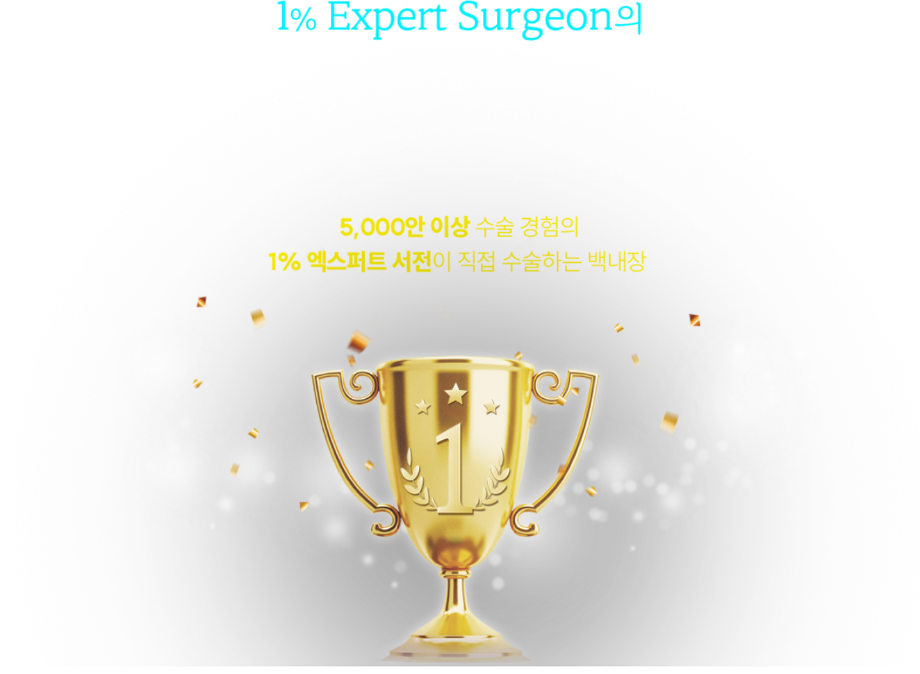엑스퍼트 백내장