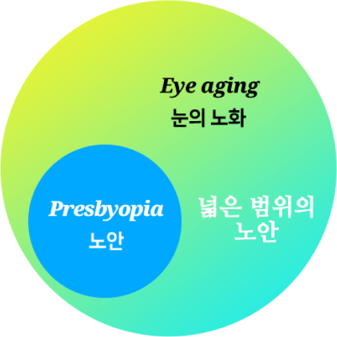 눈의노화>넓은범위의노안>노안