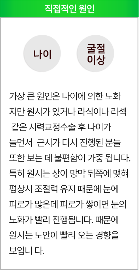 직접적인 원인