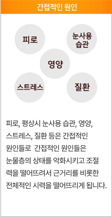 간접적인 원인