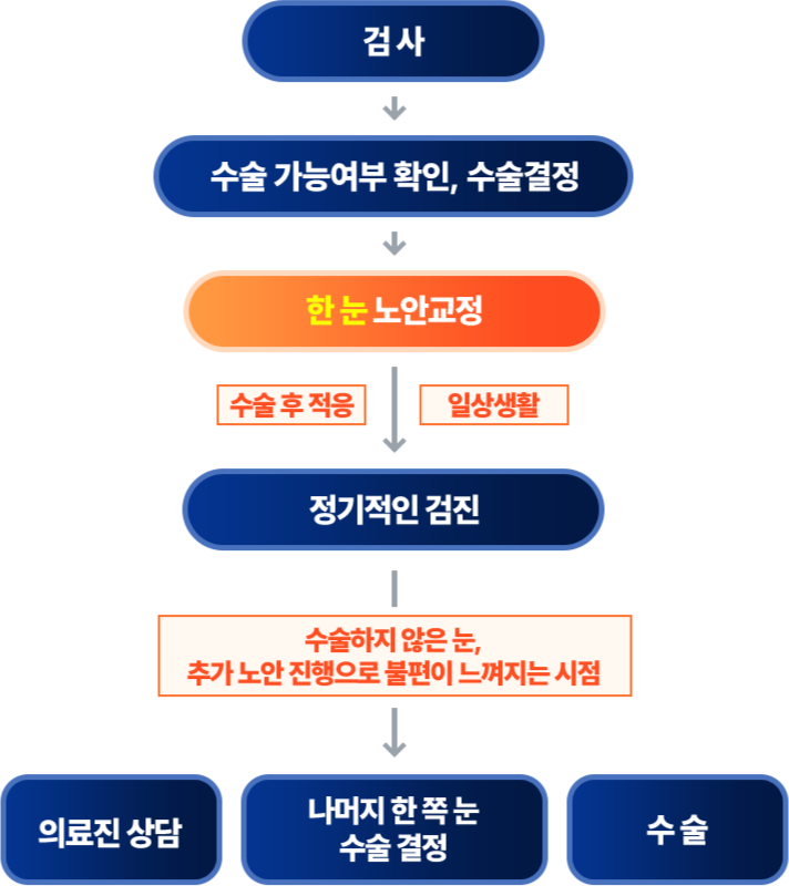 내용